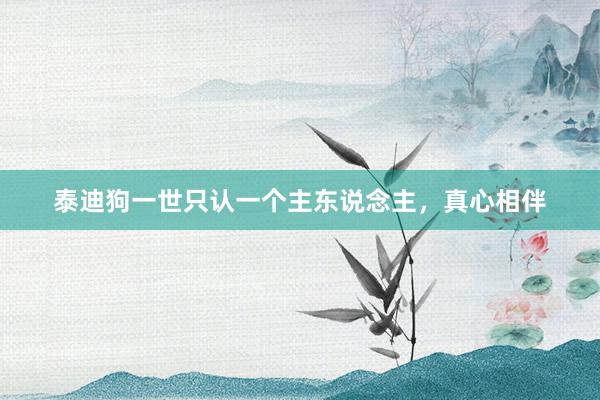泰迪狗一世只认一个主东说念主，真心相伴